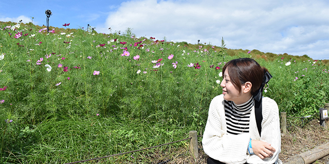 スクールライフ